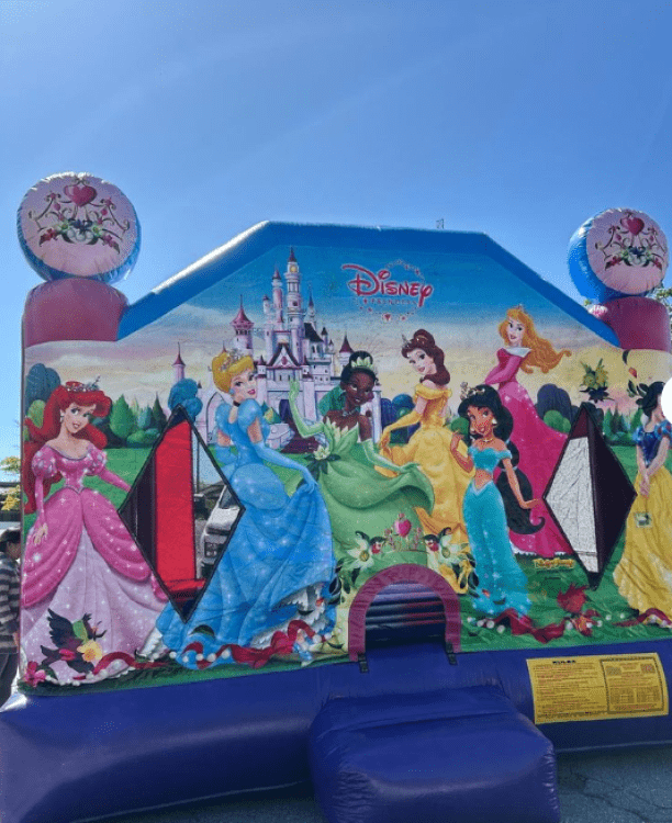 Disney Princess Bounce House