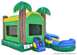 6 in 1 tropical combo wet or dry nowm 5 1761866882 6 in 1 Tropical Combo Wet or Dry